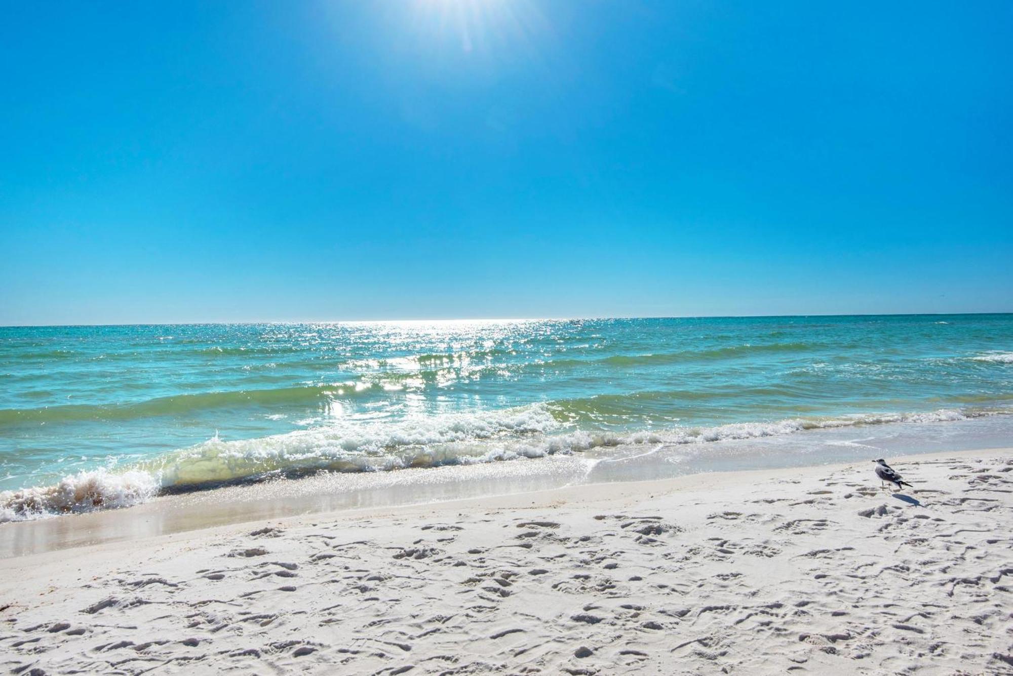 Shores Of Panama 610 Panama City Beach Εξωτερικό φωτογραφία